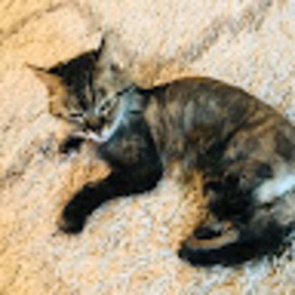 Meet your Posher, Kayleigh